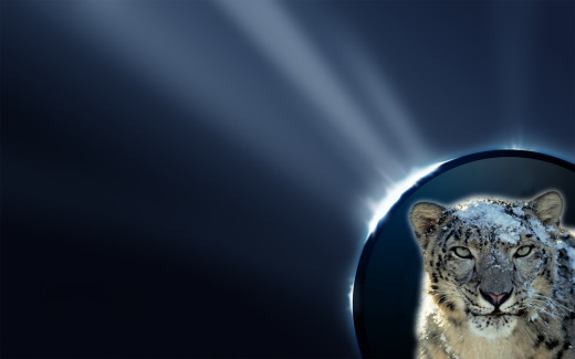 478691 (a): :1680x1050